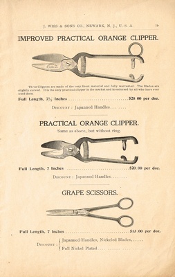 page 19 thumbnail