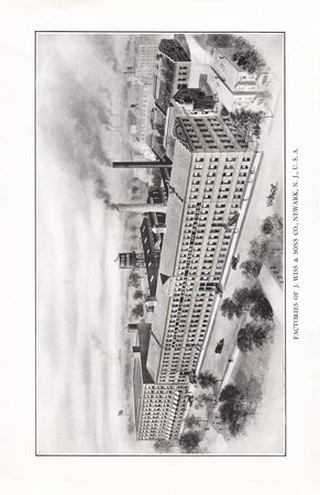 page 03 thumbnail
