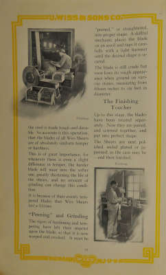 page 10 thumbnail