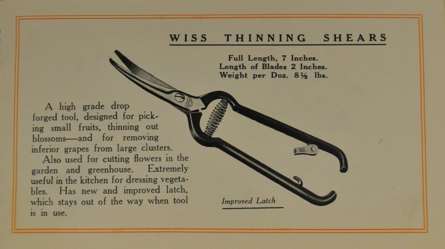 orange-clippers-booklet-5