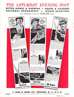 page 12 thumbnail