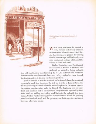 page 07 thumbnail