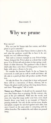 page 04 thumbnail