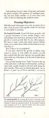 page 05 thumbnail
