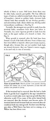 page 06 thumbnail