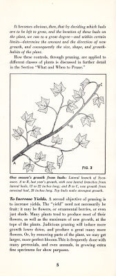 page 07 thumbnail