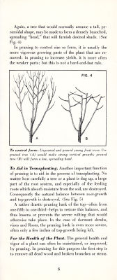 page 08 thumbnail