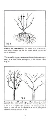 page 09 thumbnail
