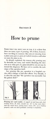 page 11 thumbnail