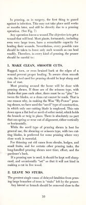 page 12 thumbnail
