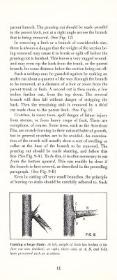 page 13 thumbnail