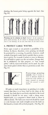 page 15 thumbnail