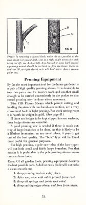 page 16 thumbnail