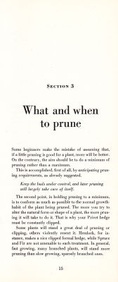 page 17 thumbnail