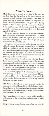 page 18 thumbnail