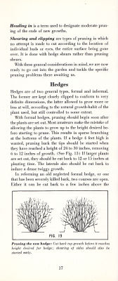 page 19 thumbnail