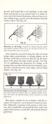 page 20 thumbnail