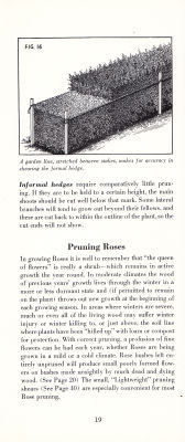 page 21 thumbnail