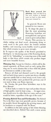 page 22 thumbnail