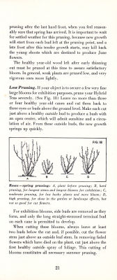 page 23 thumbnail