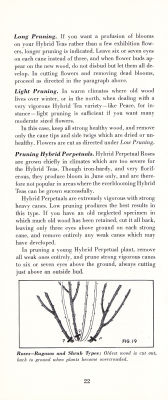 page 24 thumbnail