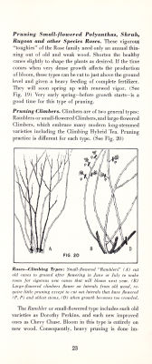 page 25 thumbnail