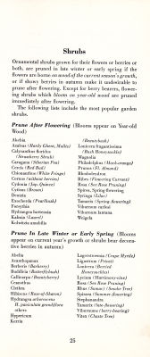 page 27 thumbnail