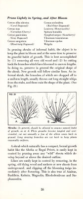 page 28 thumbnail