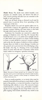 page 30 thumbnail