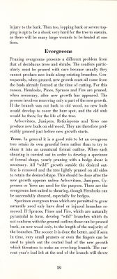 page 31 thumbnail