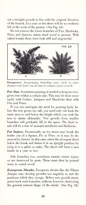 page 32 thumbnail