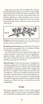 page 33 thumbnail