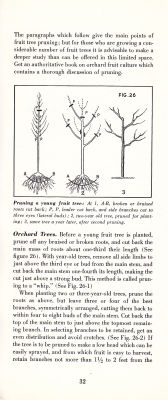 page 34 thumbnail