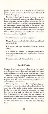 page 35 thumbnail