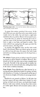page 36 thumbnail