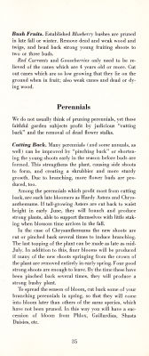 page 37 thumbnail