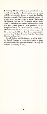 page 38 thumbnail