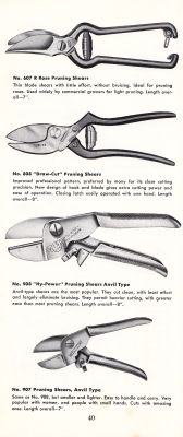 page 42 thumbnail