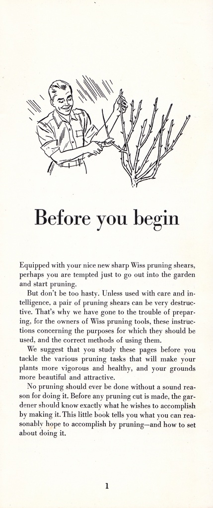 How to Prune for Better Flowers, Shrubs, Trees and Fruits: Page 3
