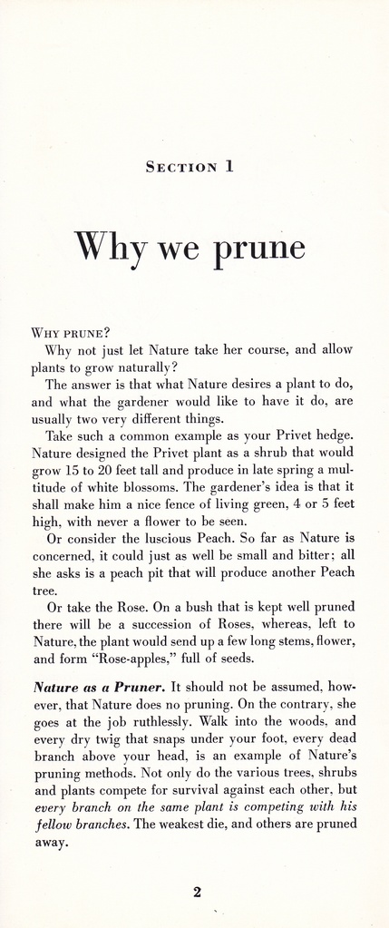 How to Prune for Better Flowers, Shrubs, Trees and Fruits: Page 4