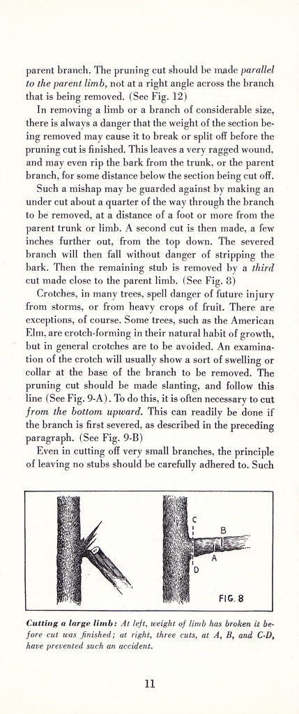 How to Prune for Better Flowers, Shrubs, Trees and Fruits: Page 13