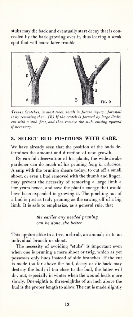 How to Prune for Better Flowers, Shrubs, Trees and Fruits: Page 14