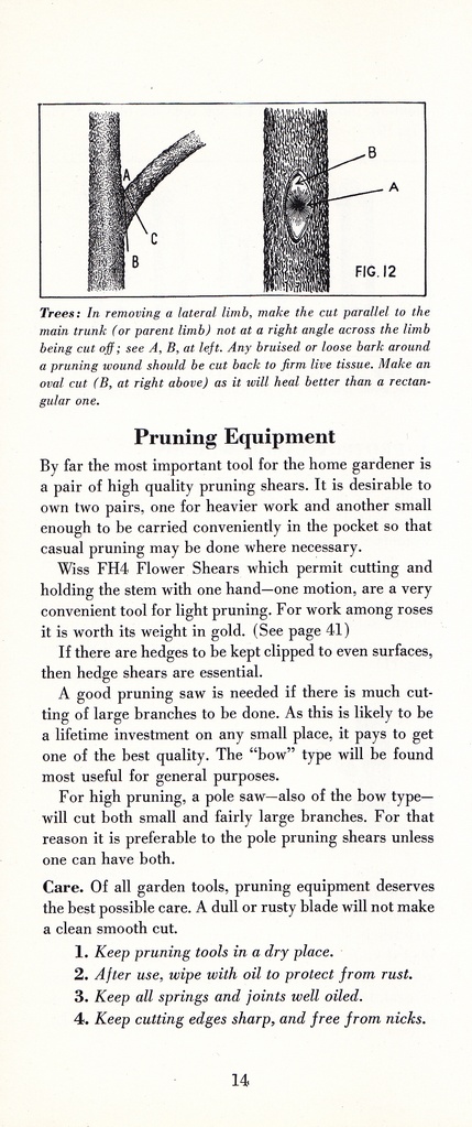 How to Prune for Better Flowers, Shrubs, Trees and Fruits: Page 16
