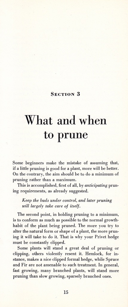 How to Prune for Better Flowers, Shrubs, Trees and Fruits: Page 17