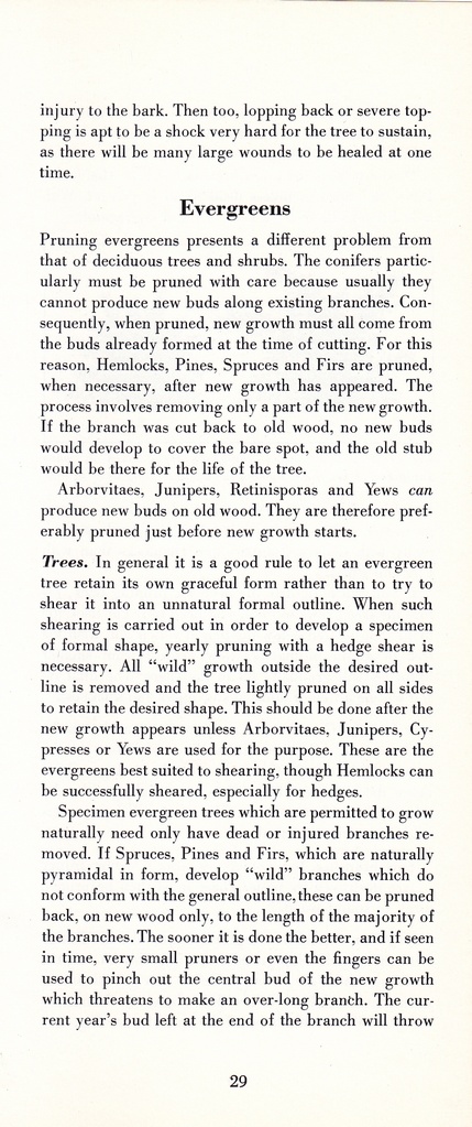 How to Prune for Better Flowers, Shrubs, Trees and Fruits: Page 31