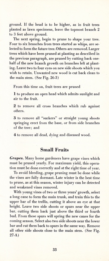 How to Prune for Better Flowers, Shrubs, Trees and Fruits: Page 35