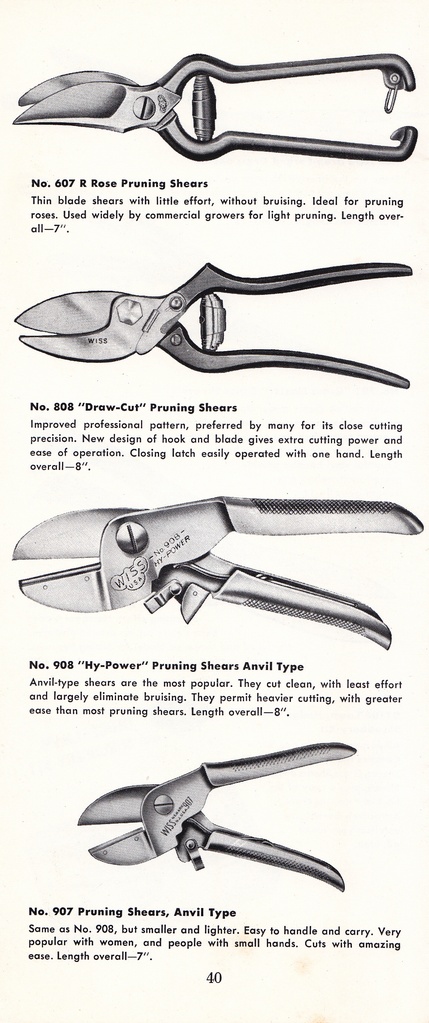 How to Prune for Better Flowers, Shrubs, Trees and Fruits: Page 42
