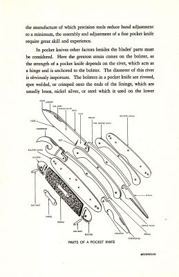 page 17 thumbnail