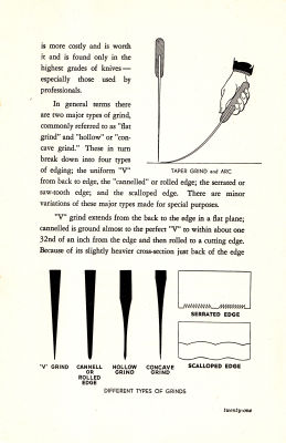page 21 thumbnail