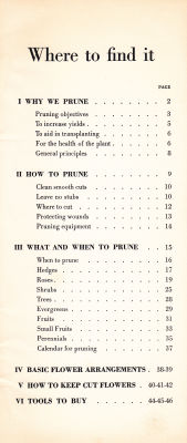 page 01 thumbnail